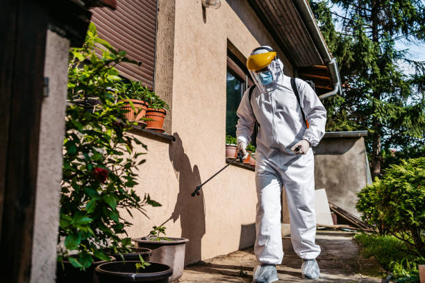 Best Wasp Removal Services  in West Pittston, PA