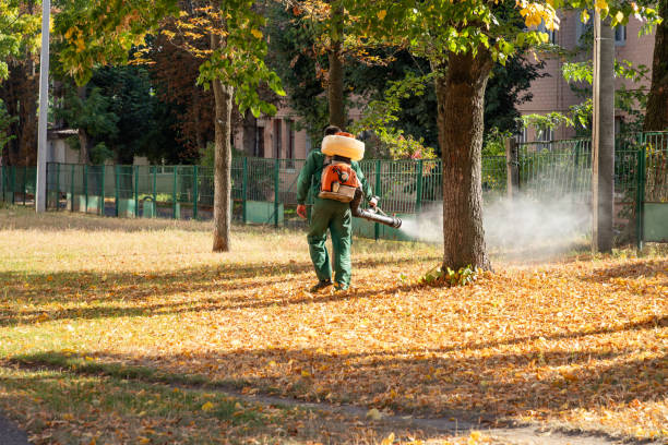Best Local Pest Control Services  in West Pittston, PA